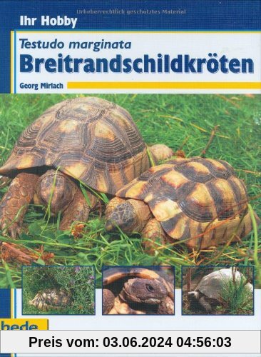 Breitrandschildkröten, Ihr Hobby
